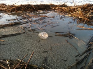 bottled water trash
